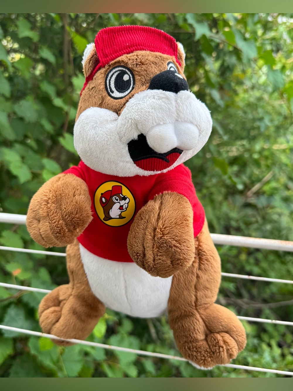Buc-ee's plush toy 11 inches tall— mascot beaver wearing a red cap and T-shirt.